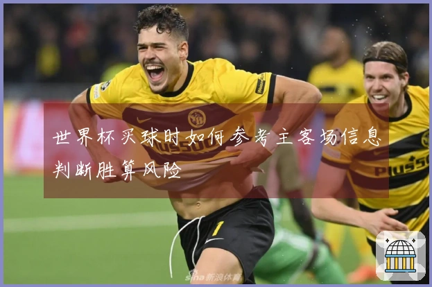 世界杯买球时如何参考主客场信息判断胜算风险