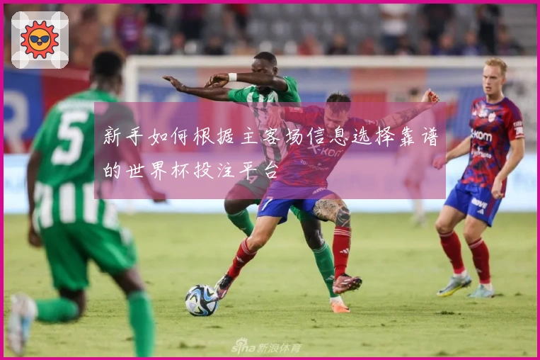 新手如何根据主客场信息选择靠谱的世界杯投注平台