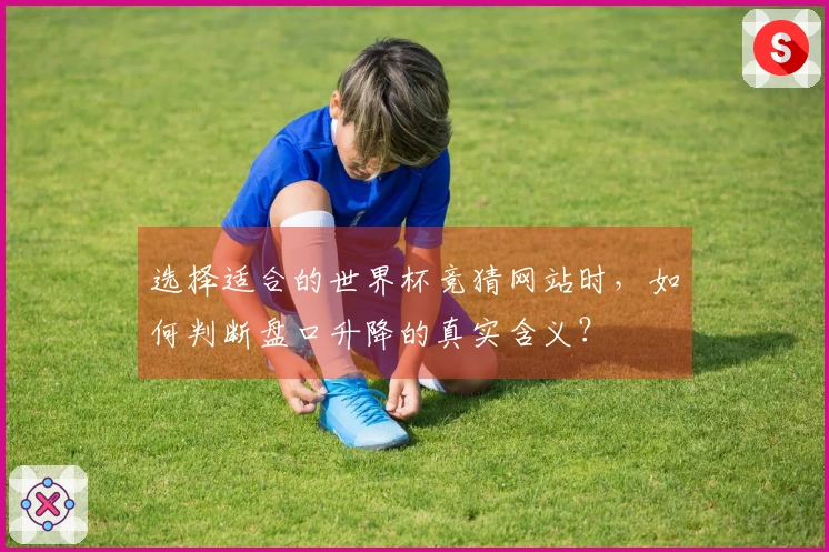 选择适合的世界杯竞猜网站时，如何判断盘口升降的真实含义？