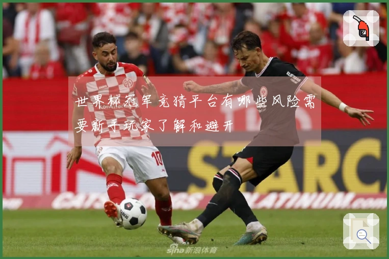 世界杯冠军竞猜平台有哪些风险需要新手玩家了解和避开