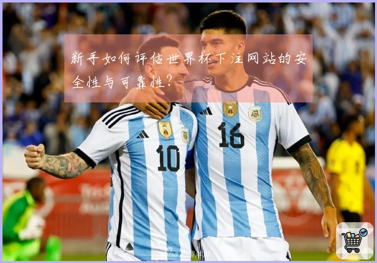 新手如何评估世界杯下注网站的安全性与可靠性？