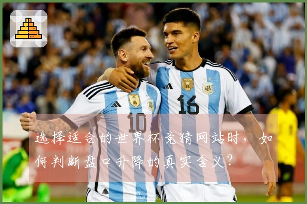 pg游戏体育文章图片