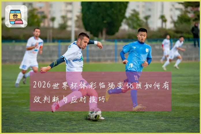 2026世界杯体彩临场变化该如何有效判断与应对技巧